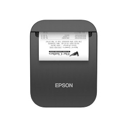 Epson TMP80II (101) BLOKKNYOMTATÓ
