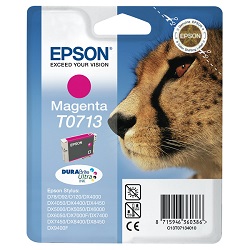 EPSON T0713 DURABrite Ultra