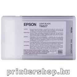EPSON T602700 Light