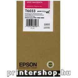 EPSON T603300 Vivid