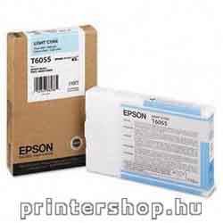 EPSON T605500 Light