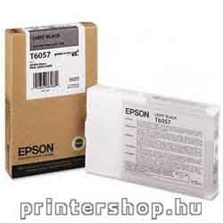 EPSON T60570 Light