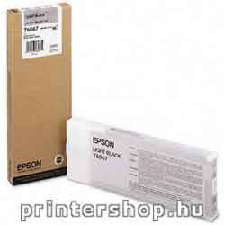 EPSON T606700 Light