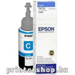 EPSON T6732